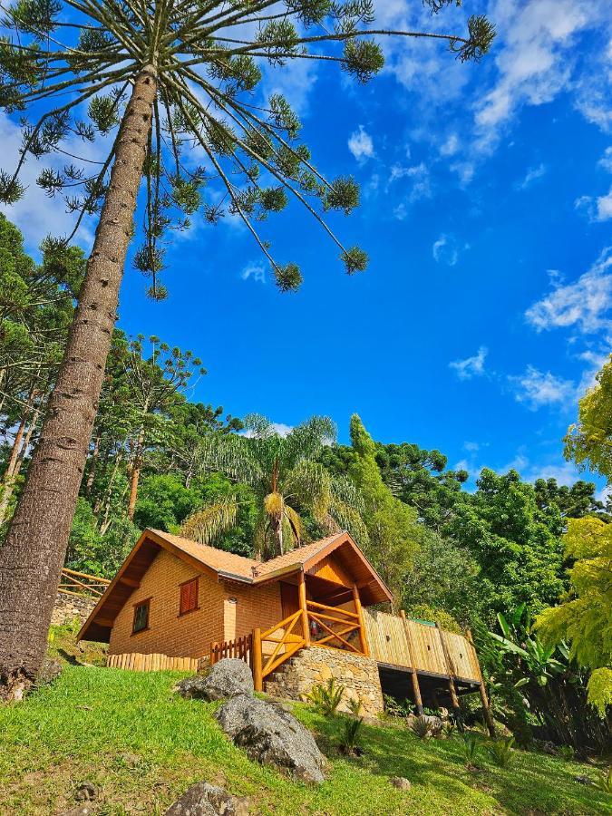 Chales Araucaria E Manaca Villa São Bento do Sapucaí Dış mekan fotoğraf