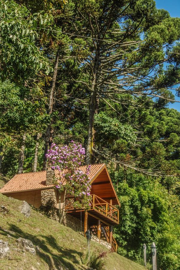 Chales Araucaria E Manaca Villa São Bento do Sapucaí Dış mekan fotoğraf